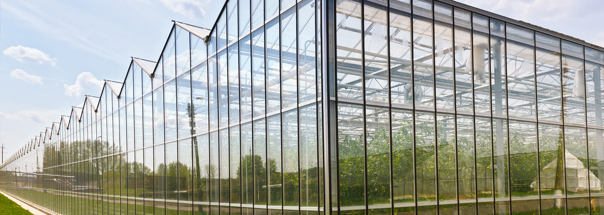 巴汀機(jī)械 · 廠(chǎng)家實(shí)力