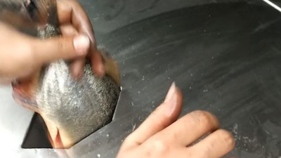 殺魚機(jī)的優(yōu)點(diǎn)有哪些?巴汀機(jī)械小編為您細(xì)數(shù)